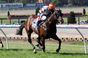 Le Roi - Queen Elizabeth Stakes 2014