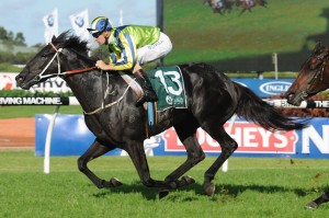 Lucia Valentina is in our top 4 Australian Oaks Tips.