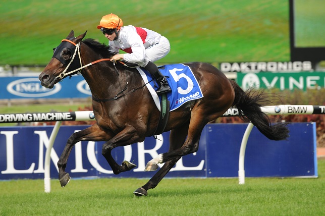 Messene is our Top Tip in the Memsie Stakes 2014