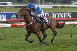 More Joyous won the 2012 edition of the Queen Elizabeth Stakes