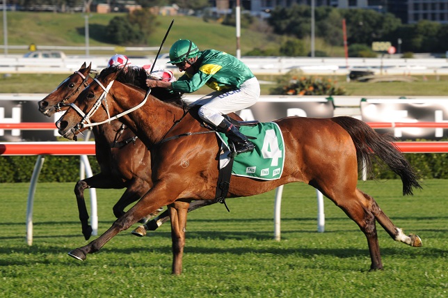 Moriarty heads the 2014 Hill Stakes Field