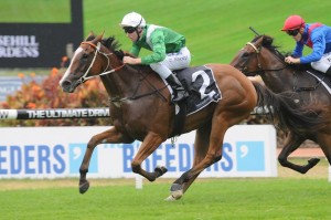 Mossfun has been a notable firmer in tomorrow's Golden Slipper 2014