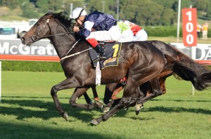 Mourayan looks hard to beat in today's Easter Cup 2014 at Caulfield
