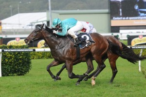 Northern Glory is our Best Bet at Randwick today on All Aged Stakes day