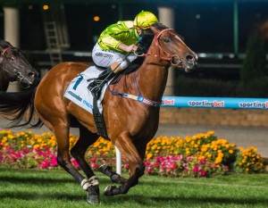 Platelet - Robert Sangster Stakes 2014