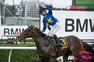 The Offer heads odds and remains Sydney Cup 2014 favouritism