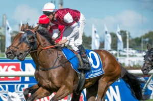 Doncaster Mile 2014 day Tips