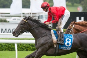 Peggy Jean - Champagne Stakes 2014