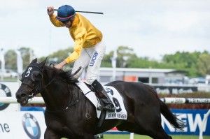 Queen Elizabeth Stakes 2014: Silent Achiever is rated on top in our Queen Elizabeth Stakes Tips.