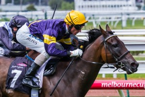 Saint Or Sinner winning the Saintly Handicap at Flemington ridden by Glen Boss and trained by Michael Moroney - (photo by Steven Dowden/Race Horse Photos Australia)