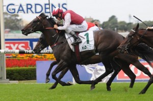 Sidestep - Royal Sovereign Stakes 2014
