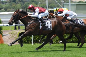Sinjoren is our Best Bet of the day at Randwick on Doncaster Mile 2014 day
