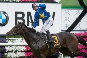 The Offer - 2014 Sydney Cup tips