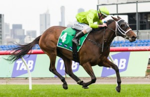 Last years Australasian Oaks winner Maybe Discreet