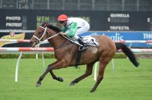 My Kingdom Of Fife - Doncaster Mile 2014