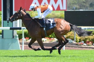 Bennetta - 2014 QTC Cup Tips