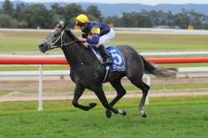 Chautauqua - Gilgai Stakes 2014