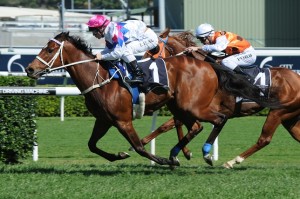 Famous Seamus - Premiere Stakes 2014