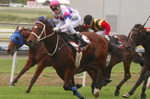 Famous Seamus - Ryan Wiggins