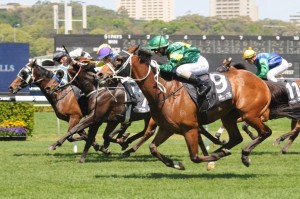 Moriarty - Hill Stakes 2014