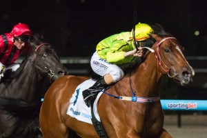 Last years winner Platelet will again line up in the 2014 edition of The Goodwood