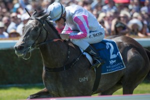 Arabian Gold looks the horse to beat in the Queensland Oaks 2014