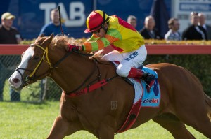 Our Goodwood Handicap 2014 Tip is Miracles Of Life