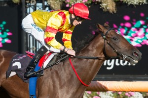 Order Of The Sun - SA Derby 2014