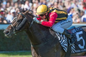 Spirit of Boom is our top tip for Saturday's BTC Cup at Doomben racecourse