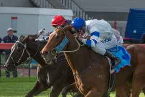 Kushadasi, Steven Arnold