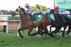 Sacred Flyer will be hard to beat at Flemington on Saturday.
