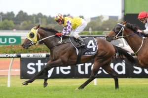 Sacred Star - Stradbroke Handicap 2014