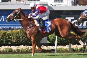 Someday is our second best Tip for Saturday's BRC Sprint 2014