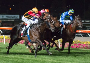 Spirit Of Boom - 2014 Doomben 10,000