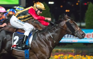 Spirit Of Boom is our Top Tip for the 2014 Doomben 10,000