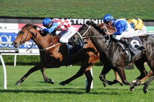 Streama - Doomben Cup 2014