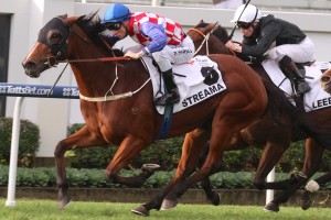 Streama - Blake Shinn