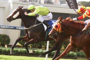 Tales Of fashion - Blake Shinn