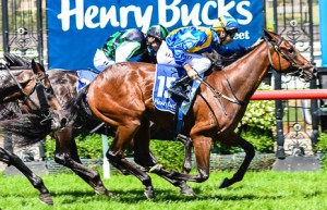 Twilight Royale - Scone Guineas 2014