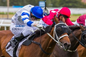 Vilanova is in our Tips for the Rough Habit Plate 2014 on Saturday