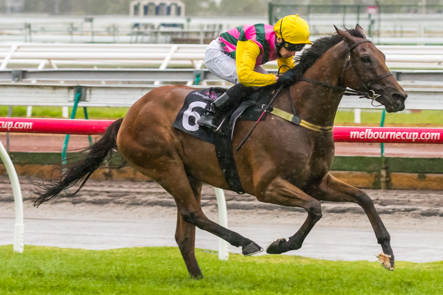 Outback Joe winning the Bagot Handicap at Flemington ridden by Oisin Murphy and trained by Nigel Blackiston - (photo by Steven Dowden/Race Horse Photos Australia)