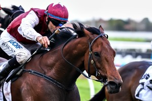 Reparations - Stradbroke Handicap 2014