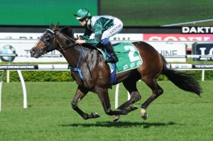 Almalad - Run To The Rose 2014