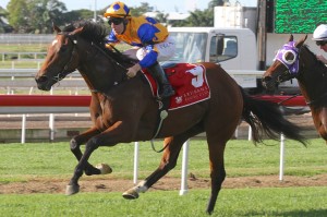 Cosmic Endeavour - Tommy Berry