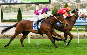 Le Bonsir is our Best Bet at Moonee Valley today