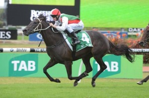 My Sabeel is our Best Roughie at Randwick today