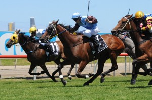 Noisy Ocean - Grafton Cup 2014