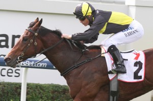 Pinch River - Damian Browne