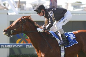 Srikandi - Glen Boss