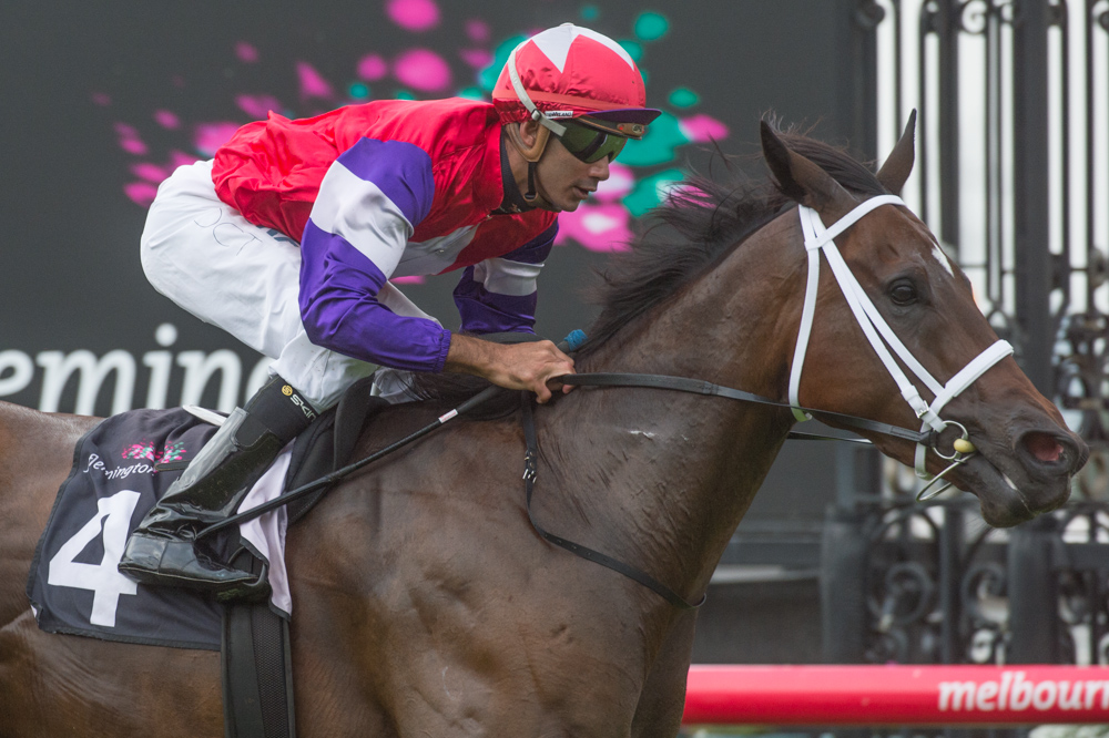 Hucklebuck - Testa Rossa Stakes